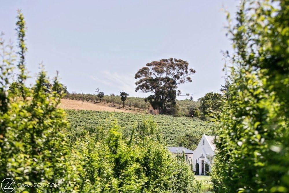 Готель Brenaissance Wine & Stud Estate Стелленбос Екстер'єр фото