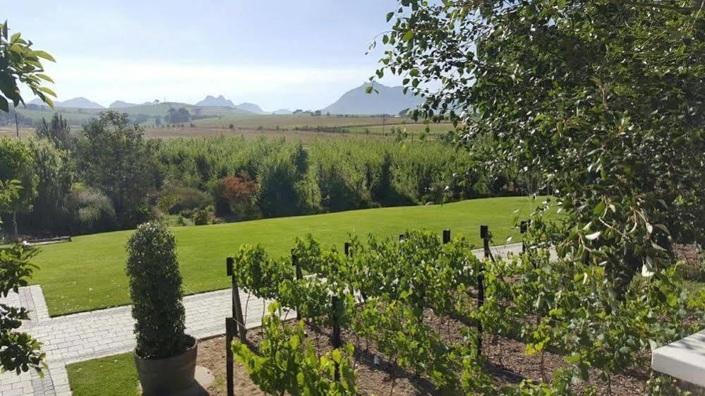 Готель Brenaissance Wine & Stud Estate Стелленбос Екстер'єр фото